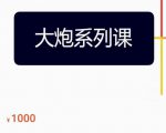大炮拼多多运营系列课,各类玩法合集,拼多多运营玩法实操-阳知网创资源库
