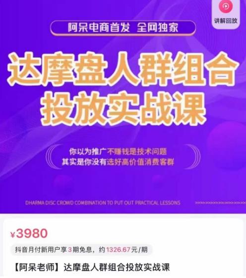 阿呆电商·达摩盘人群组合投放实战课,你以为推广不赚钱是技术问题,其实是你没有选好高价值消费客群-阳知网创资源库