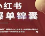 小红书爆单锦囊，自带种草属性+高质量女性用户，为你的企业开辟一条新的掘金路径-阳知网创资源库