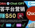 免费推广Clickbank热销商品,每单25.07美元,日赚50美元以上-阳知网创资源库