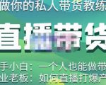 硬核传媒·直播带货(私人教练),实操实战教学,通俗易懂,学完后新手小白一个人也能做带货-阳知网创资源库