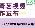 爱奇艺号视频发布,每天只需花几分钟即可发布视频,简单操作收入过万【教程+涨粉攻略】-阳知网创资源库