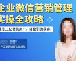 企业微信营销管理实操全攻略,链接11亿微信用户,轻松引流获客!-阳知网创资源库