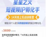 瑶瑶·自然流短视频IP孵化第二期,14天线上实战训练营,赋能100个人成为有数据能赚钱的独立IP孵化手-阳知网创资源库