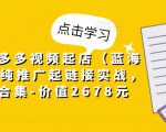 小乔·拼多多视频起店(蓝海项目),纯推广起链接实战,多玩法合集-价值2678元-阳知网创资源库