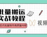 视频号批量搬运实战操作运营赚钱教程,傻瓜式批量制作高质量内容【附视频教程+PPT】-阳知网创资源库