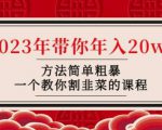 韭菜-联盟·2023年带你年入20w+方法简单粗暴,一个教你割韭菜的课程-阳知网创资源库
