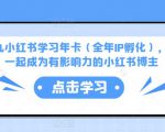 厦九九小红书学习年卡(全年IP孵化),沉浸式学习,一起成为有影响力的小红书博主-阳知网创资源库
