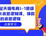 大圣淘宝天猫电商1-7层级盈利增长底层逻辑课,爆款的底层逻辑-阳知网创资源库