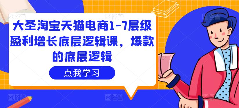 大圣淘宝天猫电商1-7层级盈利增长底层逻辑课,爆款的底层逻辑-阳知网创资源库