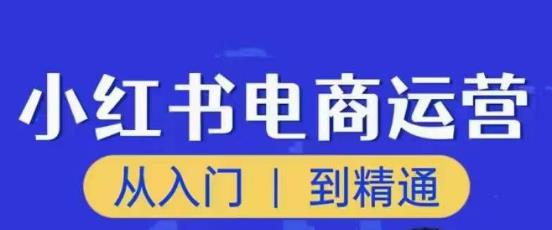 顽石小红书电商高阶运营课程,从入门到精通,玩法流程持续更新-阳知网创资源库