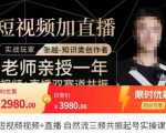 张越·短视频+直播,自然流三频共振起号实操课,短视频所有流量玩法讲解-阳知网创资源库