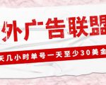 外面收费1980的最新国外LEAD广告联盟搬砖项目,单号一天至少30美金【详细玩法教程】-阳知网创资源库