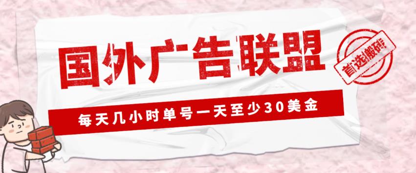 外面收费1980的最新国外LEAD广告联盟搬砖项目,单号一天至少30美金【详细玩法教程】-阳知网创资源库