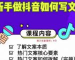 新手做抖音如何写文案,手把手实操如何拆解热门文案-阳知网创资源库