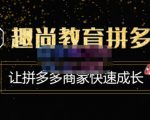 趣尚教育·拼多多运营实操VIP特训营,让拼多多商家快速成长-价值3180元-阳知网创资源库