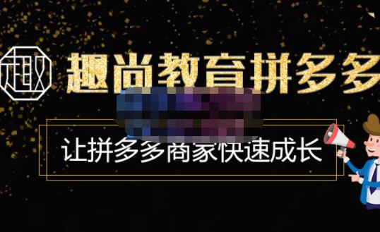 趣尚教育·拼多多运营实操VIP特训营,让拼多多商家快速成长-价值3180元-阳知网创资源库