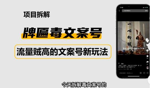 2023抖音快手毒文案新玩法,牌匾文案号,起号快易变现-阳知网创资源库