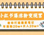 小红书爆涨粉变现营,教你打造爆款笔记,年涨粉20w+月入20w-阳知网创资源库