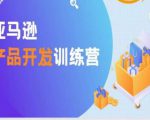 亚马逊产品开发训练营,能爆单的产品开发方法,助你突出重围-阳知网创资源库