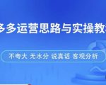 拼多多店铺运营思路与实操教程,快速学会拼多多开店和运营,少踩坑,多盈利-阳知网创资源库