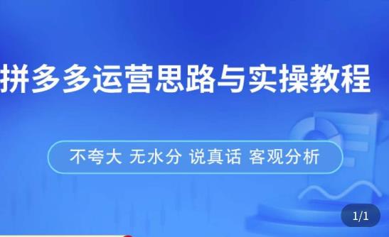 拼多多店铺运营思路与实操教程,快速学会拼多多开店和运营,少踩坑,多盈利-阳知网创资源库