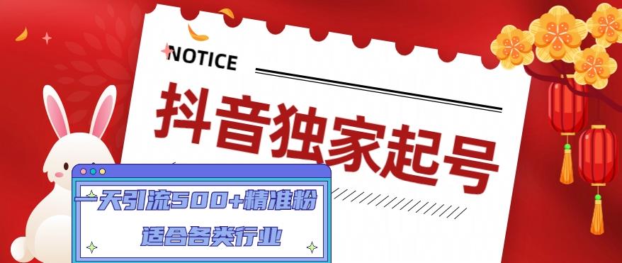 抖音独家起号，一天引流500+精准粉，适合各类行业（9节视频课）-阳知网创资源库