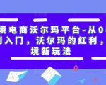 跨境电商沃尔玛平台-从0基础到入门,沃尔玛的红利,跨境新玩法-阳知网创资源库