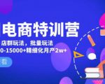 美团电商特训营:美团·店群玩法,无脑铺货月产出6000-15000+精细化月产2w+-阳知网创资源库
