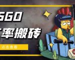 外面9800的CSGO汇率搬砖项目,一个月轻松赚几千【选品软件+详细教程】-阳知网创资源库
