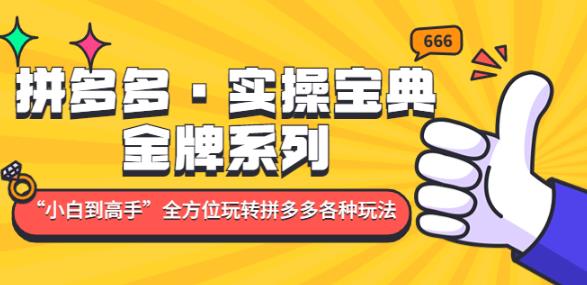 拼多多·实操宝典:金牌系列“小白到高手”带你全方位玩转拼多多各种玩法-阳知网创资源库
