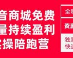 抖音商城搜索持续盈利陪跑成长营,抖音商城搜索从0-1、从1到10的全面解决方案-阳知网创资源库