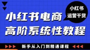 小红书电商高阶系统教程,新手从入门到精通系统课-阳知网创资源库