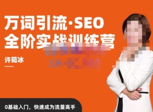 许茹冰·万词引流-SEO全阶实战训练营,0基础入门,快速成为流量高手-阳知网创资源库