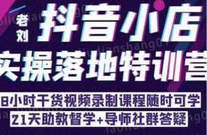 抖音小店实操落地特训营:抖音小店无货源精细化运营,抖店商品卡流量(22节)-阳知网创资源库