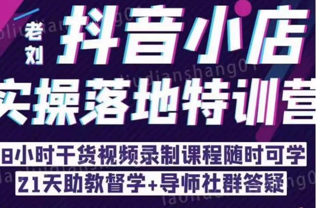 抖音小店实操落地特训营:抖音小店无货源精细化运营,抖店商品卡流量(22节)-阳知网创资源库