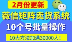 微信矩阵卖货系统,多线程批量养10个微信号,10种加粉落地方法,快速加满3W人卖货!-阳知网创资源库