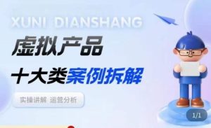 虚拟产品项目拆解课,十大类案例拆解分析运营玩法-阳知网创资源库