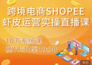 跨境电商Shopee虾皮运营实操直播课，从零开始学，入门到精通（10节系统课）-阳知网创资源库