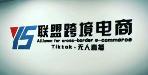 YS联盟·Tiktok无人直播,不出镜不剪辑不拍摄不发货无售后的跨境短视频躺赚玩法-阳知网创资源库