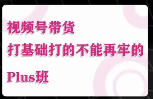 大播汇·视频号带货Puls班,视频号底层逻辑,起号自然流鱼塘等玩法-阳知网创资源库