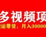 多多带货视频快速50爆款拿带货资格，搬运带货，月入30000【全套脚本+详细玩法】-阳知网创资源库