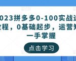 2023拼多多0-100实战运营教程,0基础起步,运营知识一手掌握-阳知网创资源库