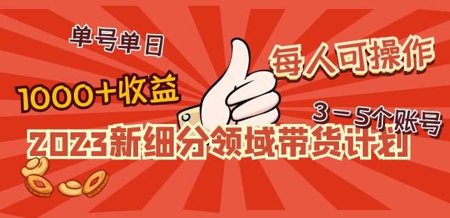 2023新细分领域带货计划:单号单日1000+收益不难,每人可操作3-5个账号-阳知网创资源库