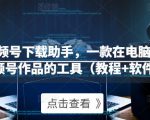 微信视频号下载助手,一款在电脑上下载视频号作品的工具(教程+软件)-阳知网创资源库