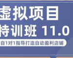 陆明明·虚拟项目特训班（10.0+11.0），0成本获取虚拟素材，0基础打造自动盈利店铺-阳知网创资源库