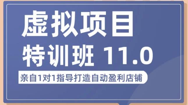 陆明明·虚拟项目特训班（10.0+11.0），0成本获取虚拟素材，0基础打造自动盈利店铺-阳知网创资源库