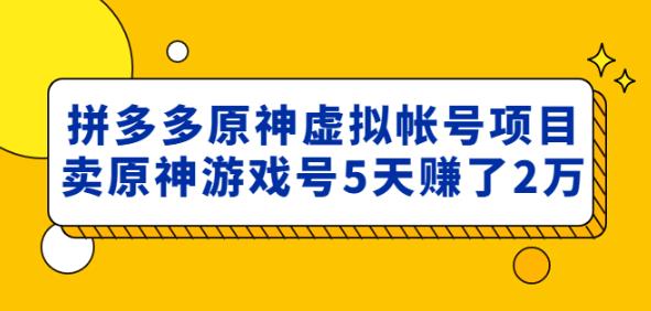 外面卖2980的拼多多原神虚拟帐号项目:卖原神游戏号5天赚了2万-阳知网创资源库