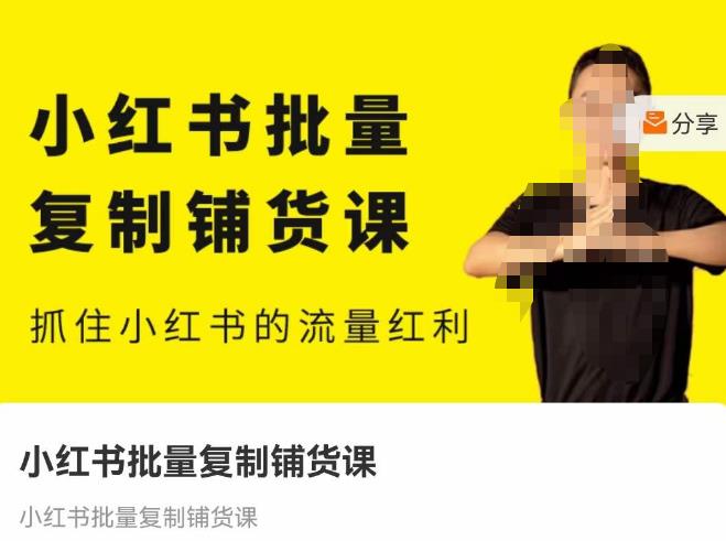 张宾·小红书批量复制铺货课,抓住小红书的流量红利 (更新2023年2月)-阳知网创资源库