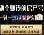 刘广标·同城房产号线上陪跑课,拍摄、剪辑、写文案、直播,做一个具有潜力价值的房产号-阳知网创资源库